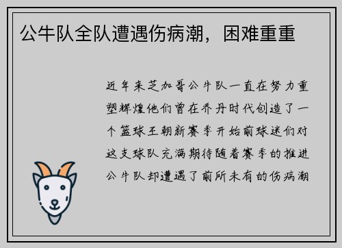 公牛队全队遭遇伤病潮，困难重重
